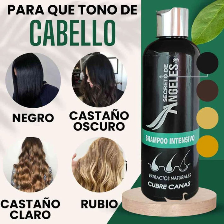 SHAMPOO CUBRECANAS+Maxi Plux Splash+OBSEQUIO