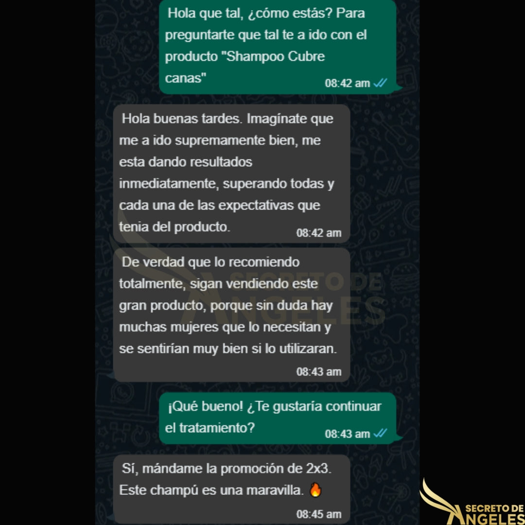 SHAMPOO CUBRECANAS+Maxi Plux Splash+OBSEQUIO