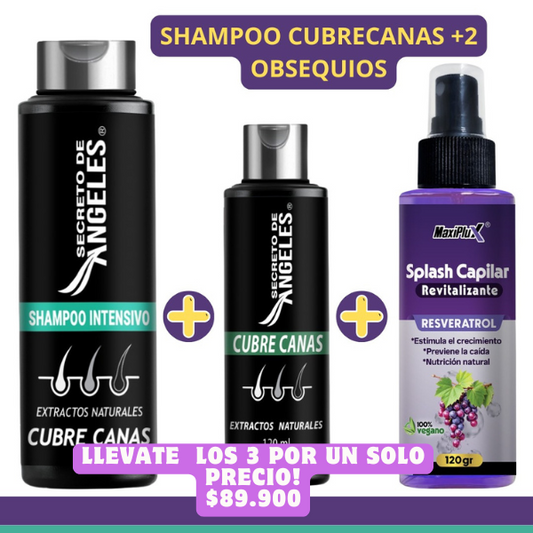 SHAMPOO CUBRECANAS+Maxi Plux Splash+OBSEQUIO