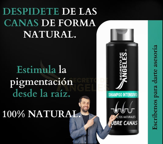 SHAMPOO CUBRECANAS+Maxi Plux Splash+OBSEQUIO